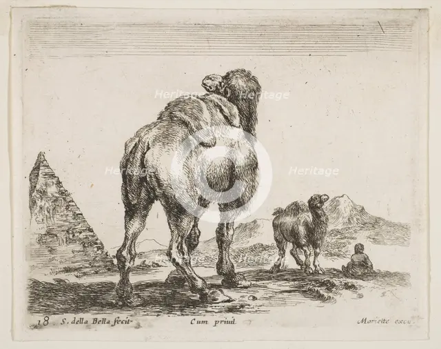 Plate 18: camel viewed from behind with pyramid at left, from 'Various animals' (Diver..., ca. 1641. Creator: Stefano della Bella.