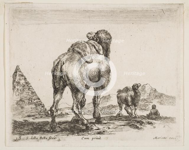 Plate 18: camel viewed from behind with pyramid at left, from 'Various animals' (Diver..., ca. 1641. Creator: Stefano della Bella.