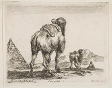 Plate 18: camel viewed from behind with pyramid at left, from Various animals (Diver..., ca. 1641. Creator: Stefano della Bella