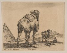 Plate 18: camel viewed from behind with pyramid at left, from Various animals (Diver..., ca. 1641. Creator: Stefano della Bella