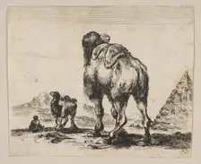 Plate 18: camel viewed from behind with pyramid at right, from Various animals (Di..., after 1641. Creator: Unknown