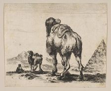 Plate 18: camel viewed from behind with pyramid at right, from Various animals (Di..., after 1641. Creator: Unknown