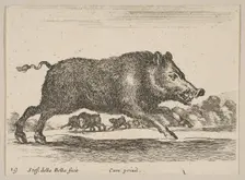 Plate 19: wild boar, from Various animals (Diversi animali), ca. 1641. Creator: Stefano della Bella