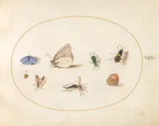 Plate 19: Two Butterflies with Five Other Insects, c. 1575/1580. Creator: Joris Hoefnagel