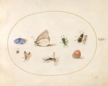 Plate 19: Two Butterflies with Five Other Insects, c. 1575/1580. Creator: Joris Hoefnagel