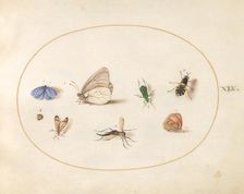 Plate 19: Two Butterflies with Five Other Insects, c. 1575/1580. Creator: Joris Hoefnagel