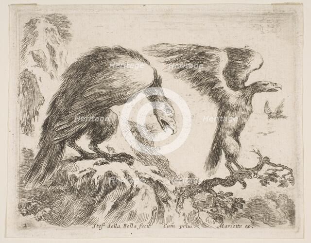 Plate 2: eagle and eaglet, from 'Various animals' (Diversi animali), ca. 1641. Creator: Stefano della Bella.