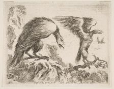 Plate 2: eagle and eaglet, from Various animals (Diversi animali), ca. 1641. Creator: Stefano della Bella