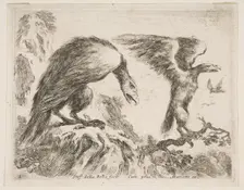 Plate 2: eagle and eaglet, from Various animals (Diversi animali), ca. 1641. Creator: Stefano della Bella