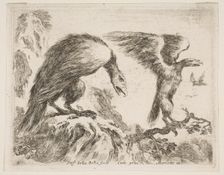Plate 2: eagle and eaglet, from Various animals (Diversi animali), ca. 1641. Creator: Stefano della Bella