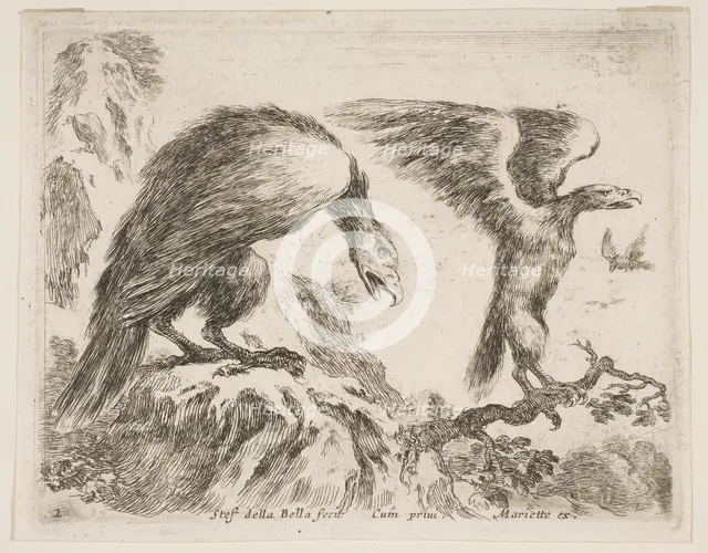 Plate 2: eagle and eaglet, from 'Various animals' (Diversi animali), ca. 1641. Creator: Stefano della Bella.