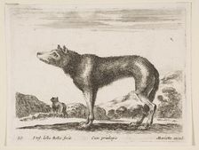 Plate 20: wolf, from Various animals (Diversi animali), ca. 1641. Creator: Stefano della Bella