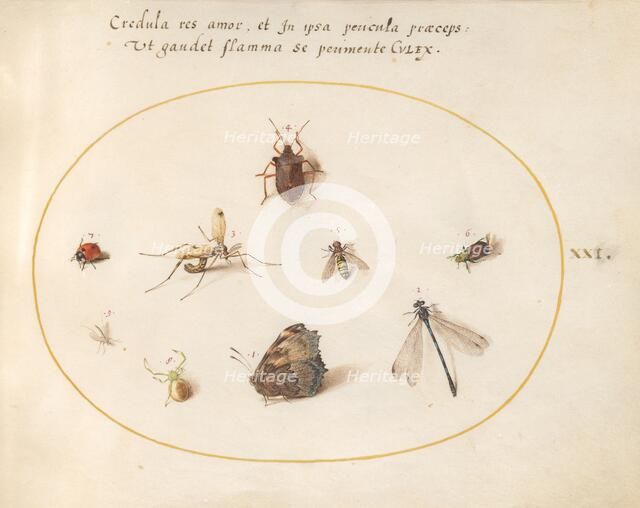 Plate 21: A Butterfly with a Dragonfly, a Ladybug, and Five other Insects, c. 1575/1580. Creator: Joris Hoefnagel.