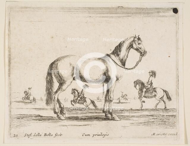 Plate 21: horse, from 'Various animals' (Diversi animali), 1641. Creator: Stefano della Bella.