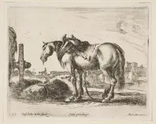 Plate 22: cart horse, from Various animals (Diversi animali), ca. 1641. Creator: Stefano della Bella