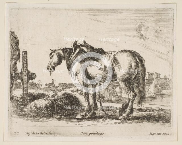 Plate 22: cart horse, from 'Various animals' (Diversi animali), ca. 1641. Creator: Stefano della Bella.