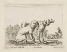 Plate 23: two hounds, from Various animals (Diversi animali), ca. 1641. Creator: Stefano della Bella