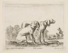 Plate 23: two hounds, from Various animals (Diversi animali), ca. 1641. Creator: Stefano della Bella