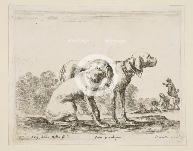 Plate 23: two hounds, from 'Various animals' (Diversi animali), ca. 1641. Creator: Stefano della Bella.
