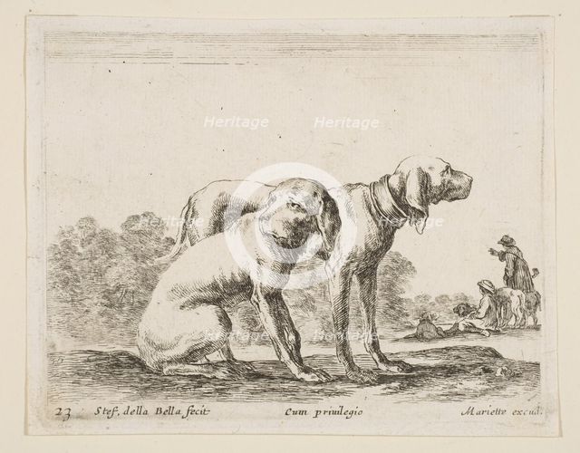 Plate 23: two hounds, from 'Various animals' (Diversi animali), ca. 1641. Creator: Stefano della Bella.