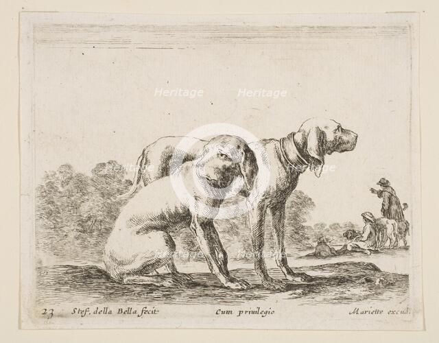 Plate 23: two hounds, from 'Various animals' (Diversi animali), ca. 1641. Creator: Stefano della Bella.