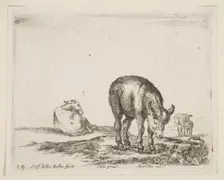 Plate 24: donkeys, from Various animals (Diversi animali), ca. 1641. Creator: Stefano della Bella