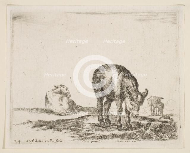 Plate 24: donkeys, from 'Various animals' (Diversi animali), ca. 1641. Creator: Stefano della Bella.
