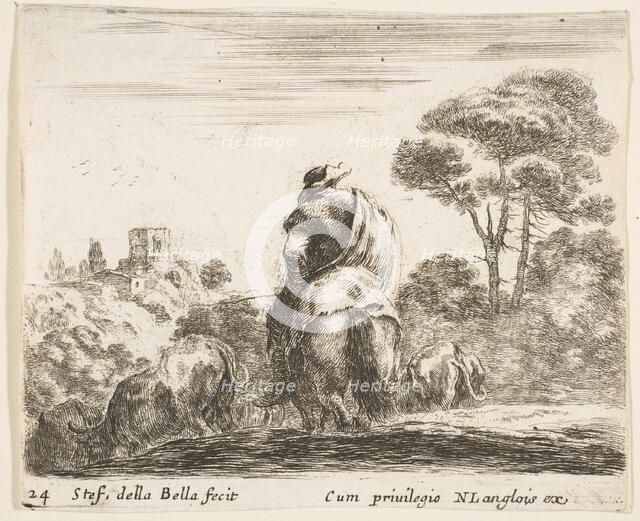 Plate 24: herdsman atop a horse, seen from behind, leads his cattle down a hill, a ..., ca. 1644-47. Creator: Stefano della Bella.