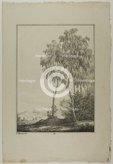 Plate 25 from Blatt Baum und Landschafts Studien, c.1810. Creator: Lorenz Ekemann Alesson.