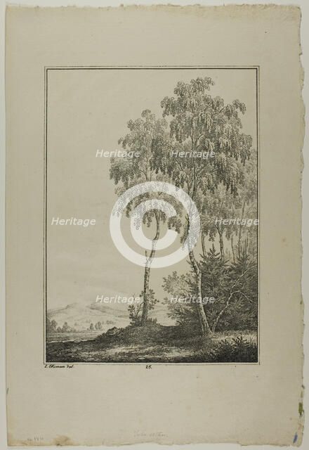 Plate 25 from Blatt Baum und Landschafts Studien, c.1810. Creator: Lorenz Ekemann Alesson.