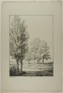 Plate 26 from Blatt Baum und Landschafts Studien, c.1810. Creator: Lorenz Ekemann Alesson