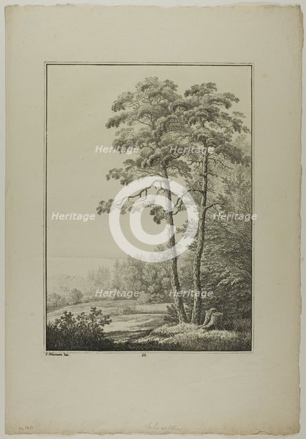 Plate 28 from Blatt Baum und Landschafts Studien, c.1810. Creator: Lorenz Ekemann Alesson.