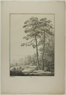 Plate 28 from Blatt Baum und Landschafts Studien, c.1810. Creator: Lorenz Ekemann Alesson