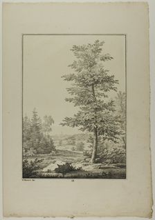 Plate 29 from Blatt Baum und Landschafts Studien, c.1810. Creator: Lorenz Ekemann Alesson