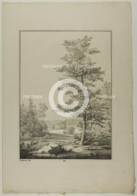 Plate 29 from Blatt Baum und Landschafts Studien, c.1810. Creator: Lorenz Ekemann Alesson.
