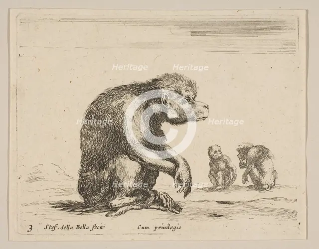 Plate 3: seated monkey, from 'Various animals' (Diversi animali), ca. 1641. Creator: Stefano della Bella.