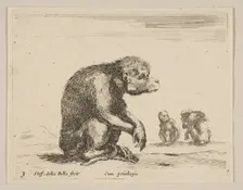 Plate 3: seated monkey, from Various animals (Diversi animali), ca. 1641. Creator: Stefano della Bella