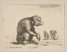 Plate 3: seated monkey, from Various animals (Diversi animali), ca. 1641. Creator: Stefano della Bella