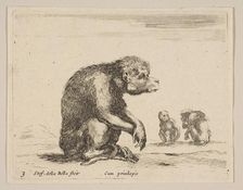 Plate 3: seated monkey, from Various animals (Diversi animali), ca. 1641. Creator: Stefano della Bella