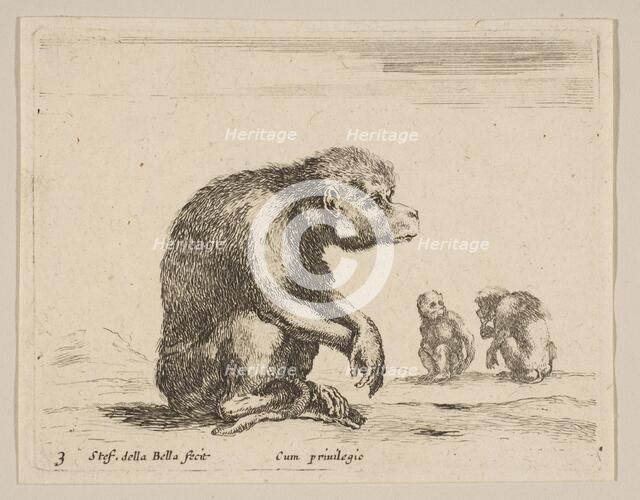 Plate 3: seated monkey, from 'Various animals' (Diversi animali), ca. 1641. Creator: Stefano della Bella.