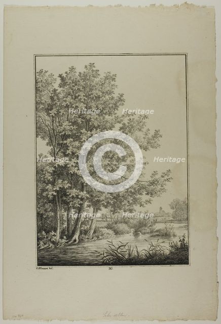 Plate 30 from Blatt Baum und Landschafts Studien, c.1810. Creator: Lorenz Ekemann Alesson.