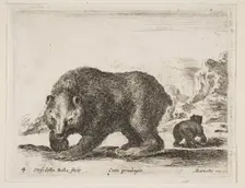 Plate 4: bear, from Various animals (Diversi animali), 1641. Creator: Stefano della Bella