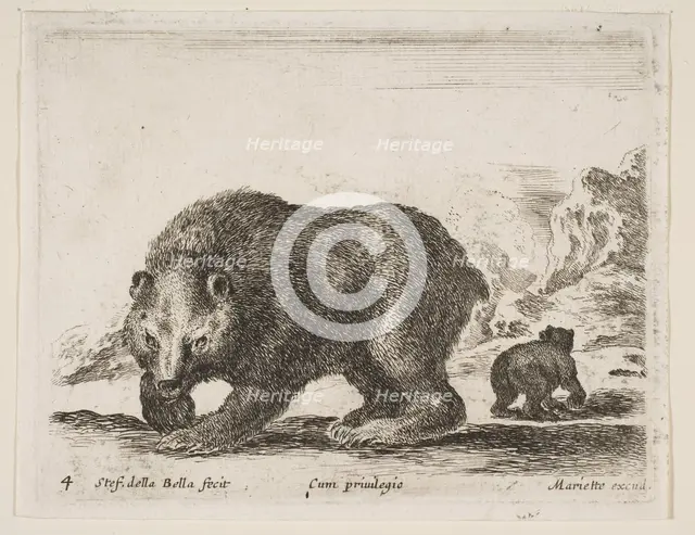 Plate 4: bear, from 'Various animals' (Diversi animali), 1641. Creator: Stefano della Bella.