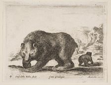 Plate 4: bear, from Various animals (Diversi animali), 1641. Creator: Stefano della Bella
