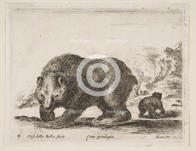 Plate 4: bear, from 'Various animals' (Diversi animali), 1641. Creator: Stefano della Bella.