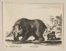 Plate 4: bear, from Various animals (Diversi animali), ca. 1641. Creator: Stefano della Bella