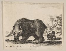 Plate 4: bear, from Various animals (Diversi animali), ca. 1641. Creator: Stefano della Bella