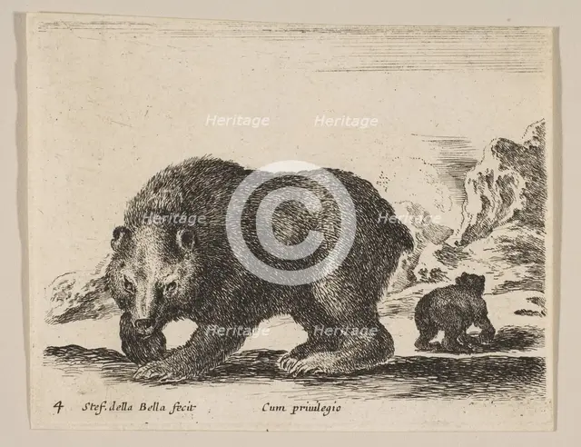 Plate 4: bear, from 'Various animals' (Diversi animali), ca. 1641. Creator: Stefano della Bella.