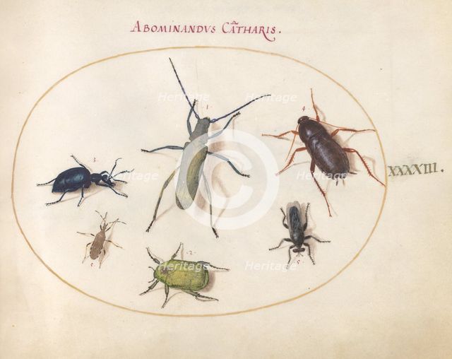 Plate 43: Beetles and Insects, c. 1575/1580. Creator: Joris Hoefnagel.