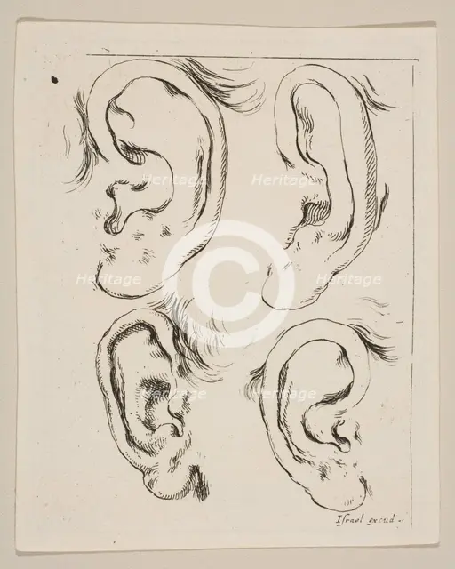 Plate 5: four ears, from 'The Book for Learning to Draw' (Livre pour apprendre à dessi..., ca. 1649. Creator: Stefano della Bella.